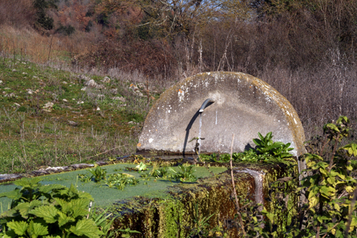 Fontanili del Lazio